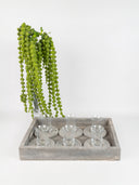 Oasis Tray 2