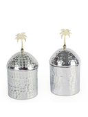 Palm Pot