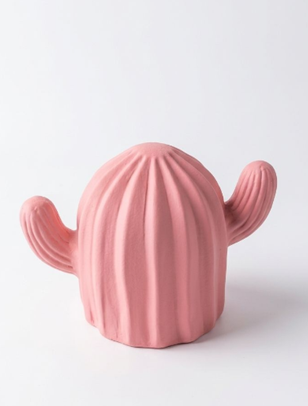Cacti Pottery Vase