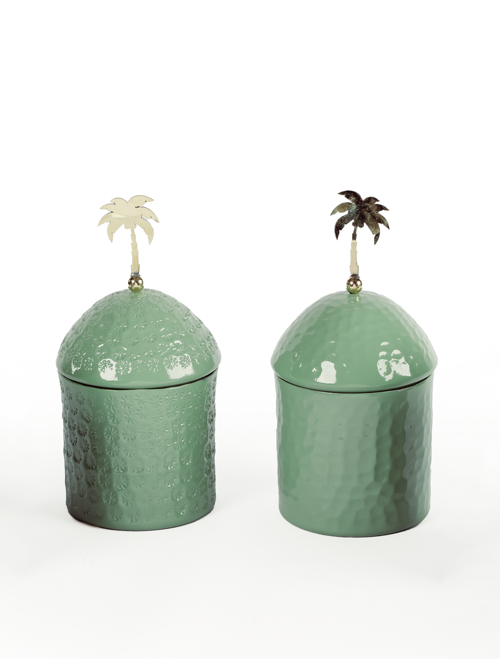 Palm Pot
