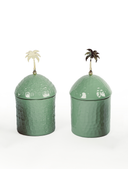 Palm Pot