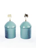 Palm Pot