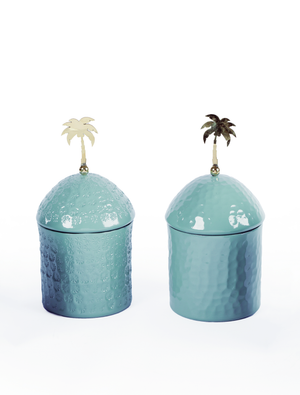 Palm Pot