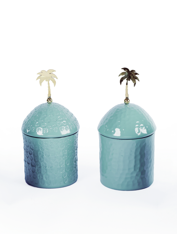 Palm Pot