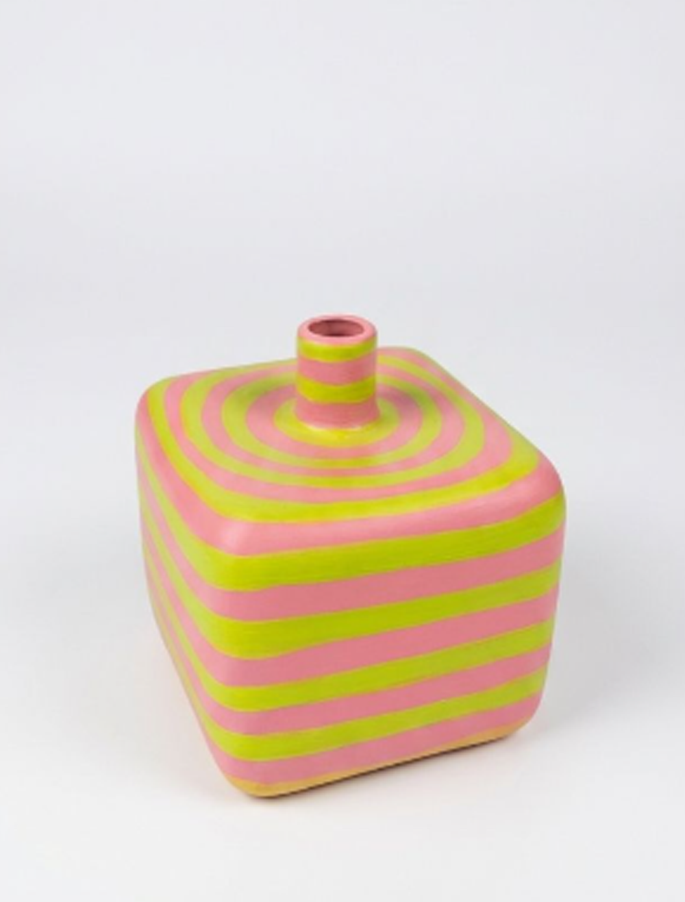 Earthen Pottery Vase 17