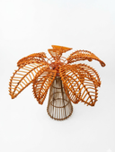 Bamboo Palm Flame