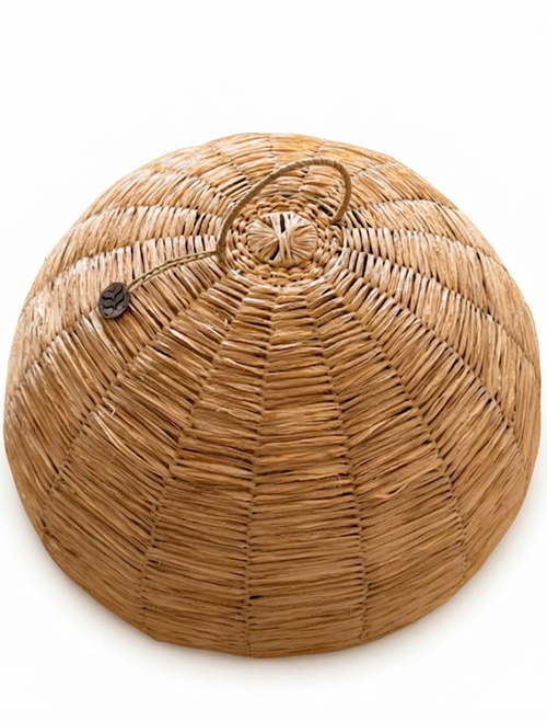 Bamboo Food Lid
