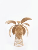 Palm Flame
