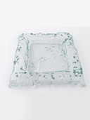 Square Plate